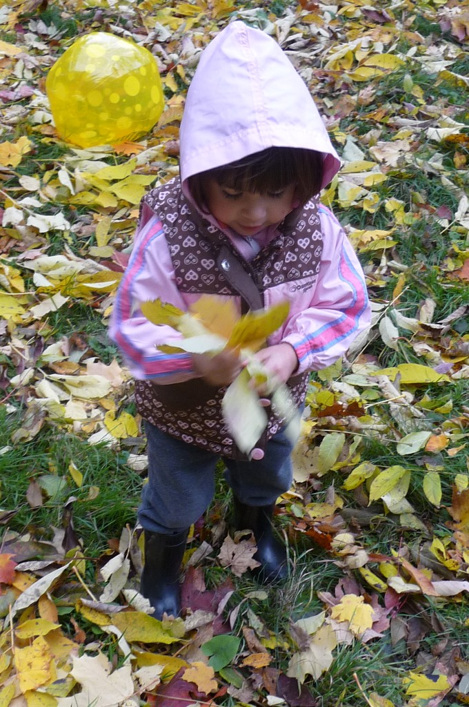 M gathers leaves