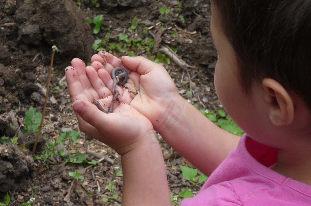 befriending worms