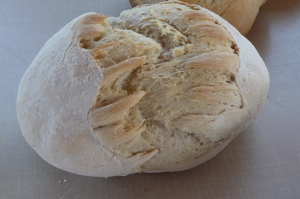 bread close up