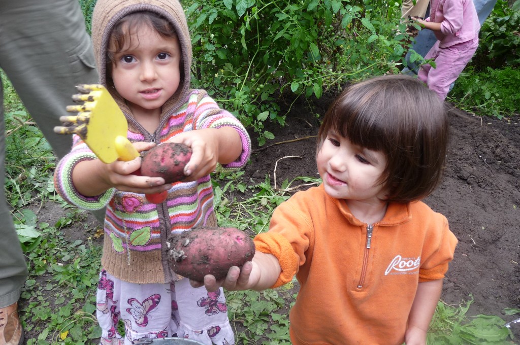 potato hunters