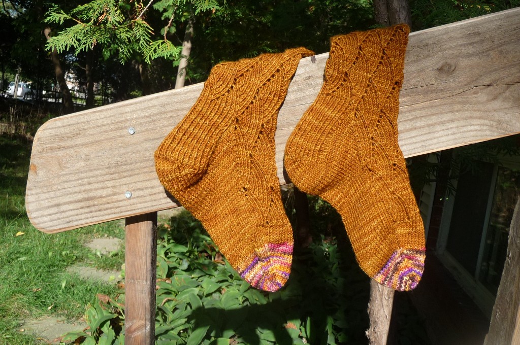 Pomatomus socks