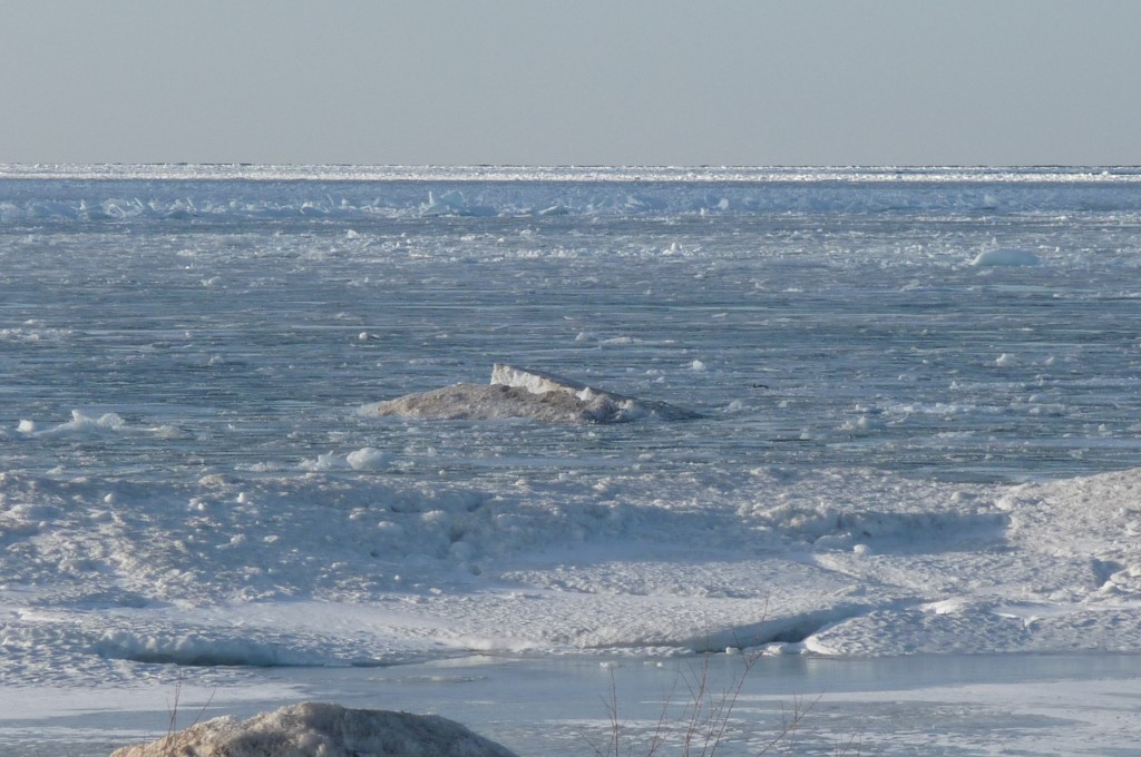 frozen bay